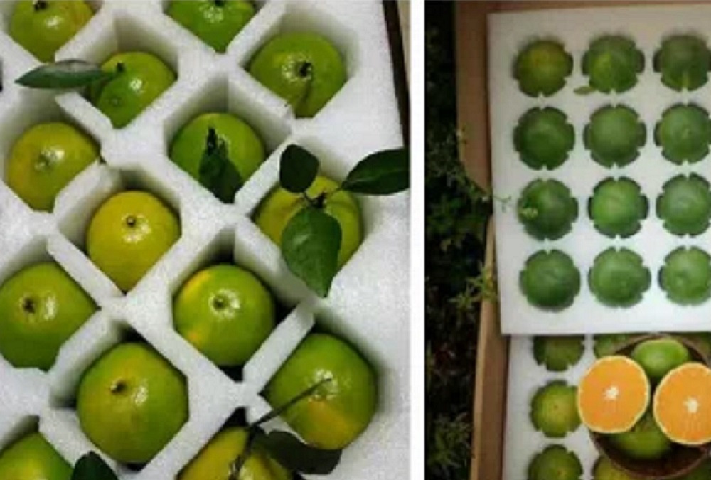 廠家直銷各種EPE珍珠棉泡沫、產(chǎn)品包裝泡沫、水果包裝泡沫等包裝盒內(nèi)襯